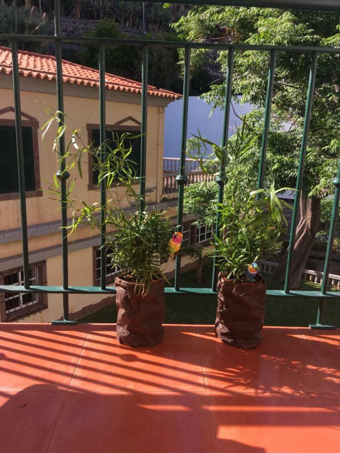 Sol Apt Beachfront Duplex Понта-ду-Сол Екстер'єр фото